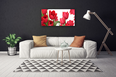 Photo sur toile Tulipes floral rouge