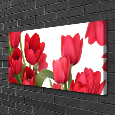 Photo sur toile Tulipes floral rouge