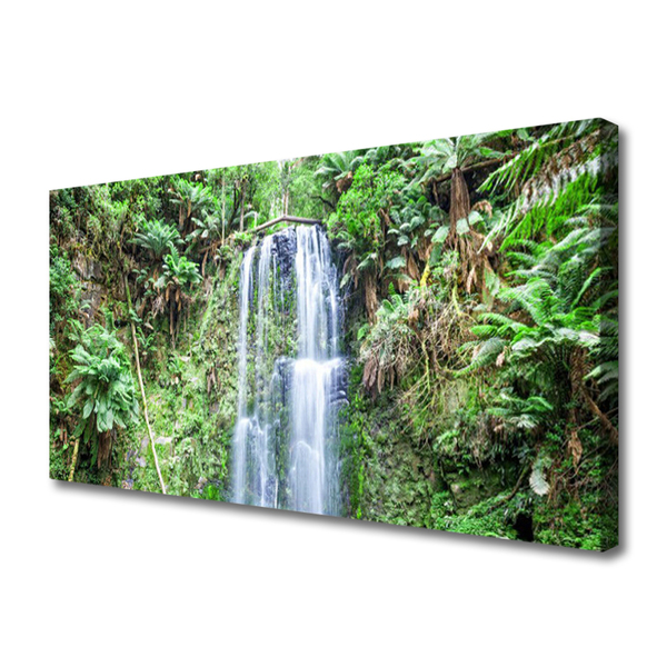 Photo sur toile Arbres cascade nature blanc brun vert