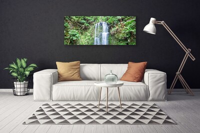 Photo sur toile Arbres cascade nature blanc brun vert
