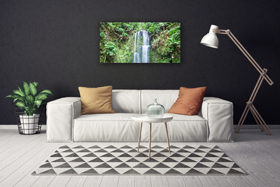 Photo sur toile Arbres cascade nature blanc brun vert