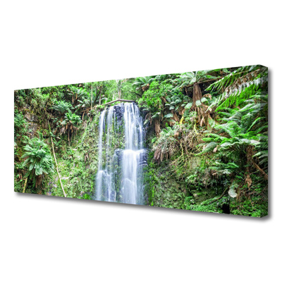 Photo sur toile Arbres cascade nature blanc brun vert