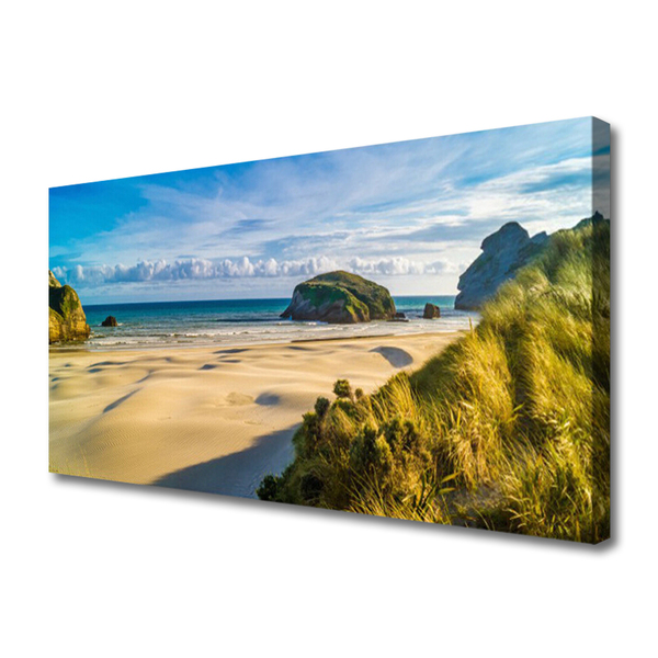 Photo sur toile Rochers plage paysage brun gris vert