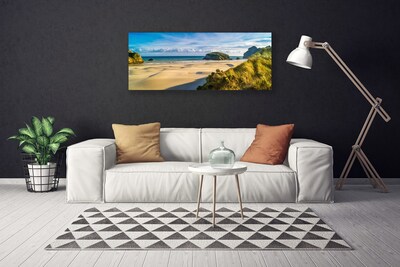 Photo sur toile Rochers plage paysage brun gris vert