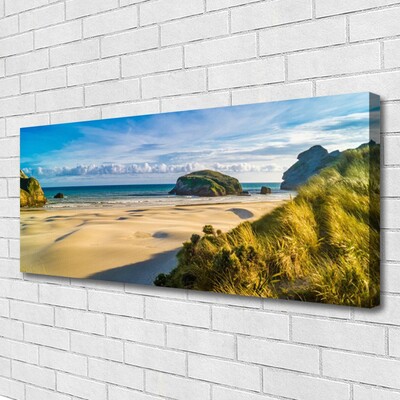 Photo sur toile Rochers plage paysage brun gris vert