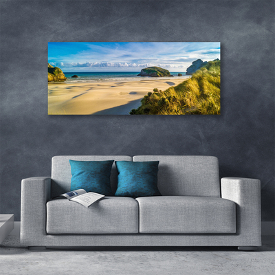 Photo sur toile Rochers plage paysage brun gris vert