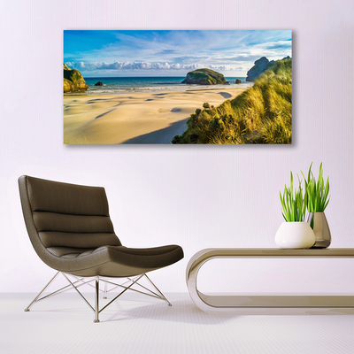 Photo sur toile Rochers plage paysage brun gris vert