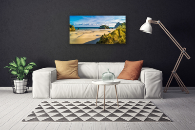 Photo sur toile Rochers plage paysage brun gris vert