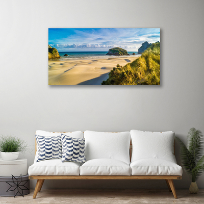 Photo sur toile Rochers plage paysage brun gris vert