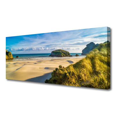 Photo sur toile Rochers plage paysage brun gris vert