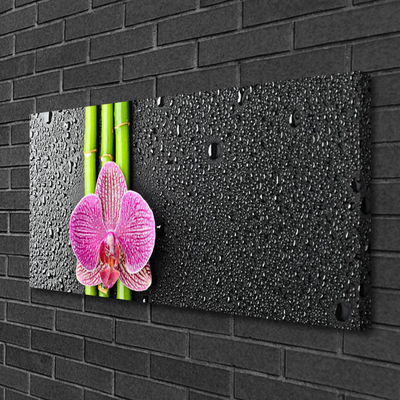 Photo sur toile Fleur bambou floral vert rose