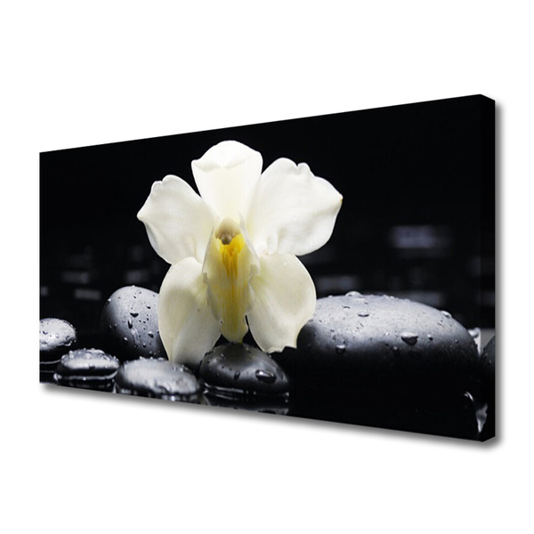 Photo sur toile Fleurs pierres floral blanc noir