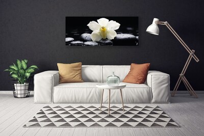 Photo sur toile Fleurs pierres floral blanc noir