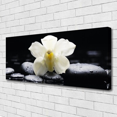 Photo sur toile Fleurs pierres floral blanc noir