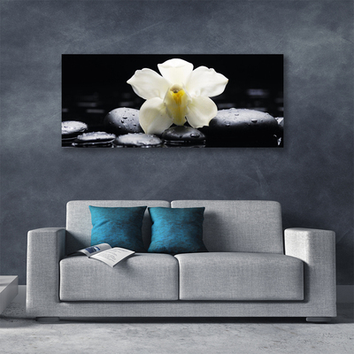 Photo sur toile Fleurs pierres floral blanc noir