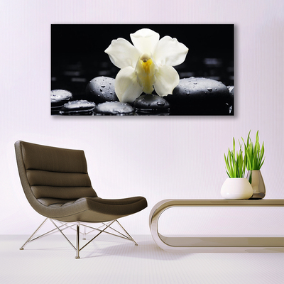 Photo sur toile Fleurs pierres floral blanc noir