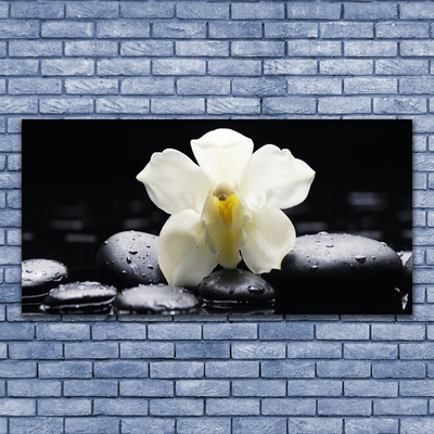 Photo sur toile Fleurs pierres floral blanc noir