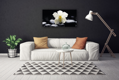 Photo sur toile Fleurs pierres floral blanc noir