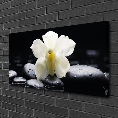 Photo sur toile Fleurs pierres floral blanc noir