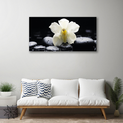 Photo sur toile Fleurs pierres floral blanc noir