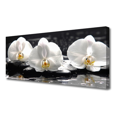 Photo sur toile Pierres fleurs floral blanc noir