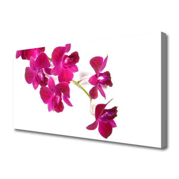 Photo sur toile Fleurs floral rouge