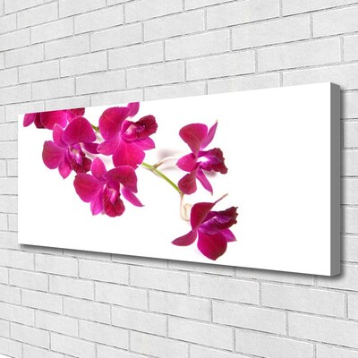 Photo sur toile Fleurs floral rouge