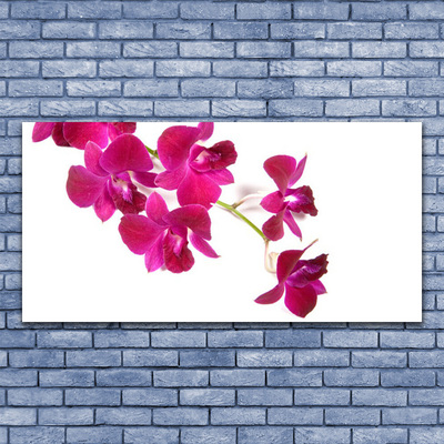 Photo sur toile Fleurs floral rouge