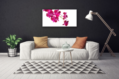 Photo sur toile Fleurs floral rouge