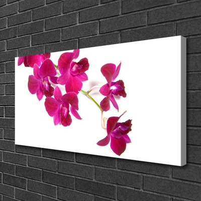 Photo sur toile Fleurs floral rouge