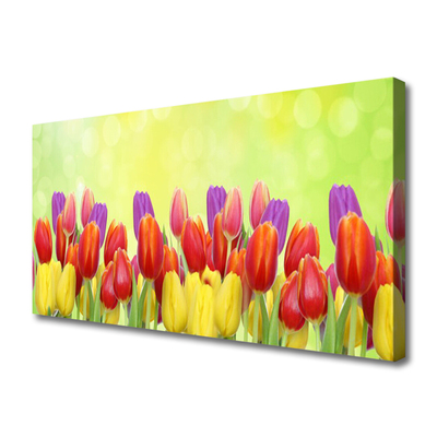 Photo sur toile Tulipes floral jaune rouge rose