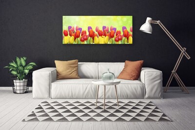 Photo sur toile Tulipes floral jaune rouge rose