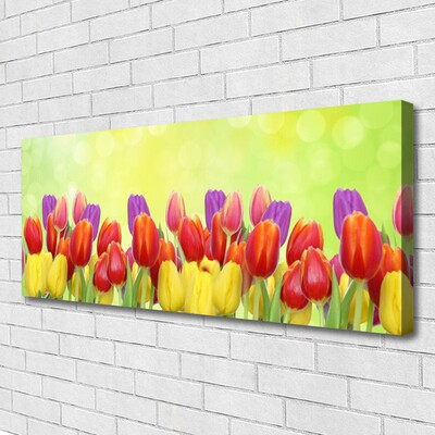 Photo sur toile Tulipes floral jaune rouge rose