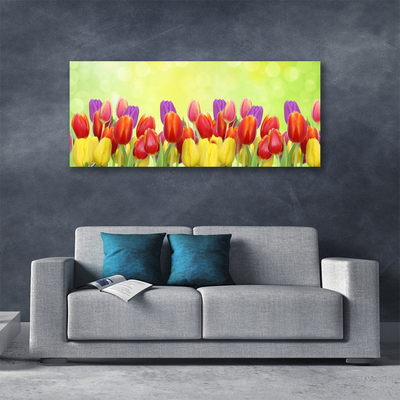 Photo sur toile Tulipes floral jaune rouge rose