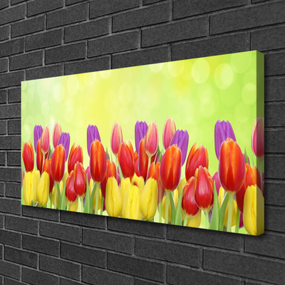 Photo sur toile Tulipes floral jaune rouge rose