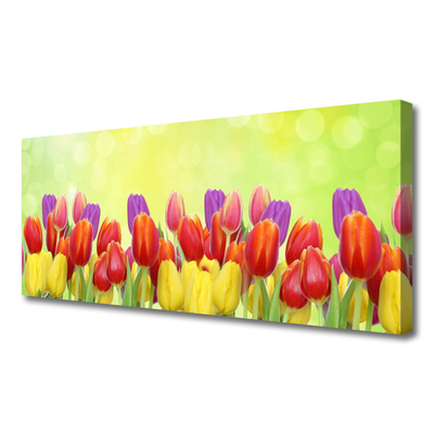 Photo sur toile Tulipes floral jaune rouge rose