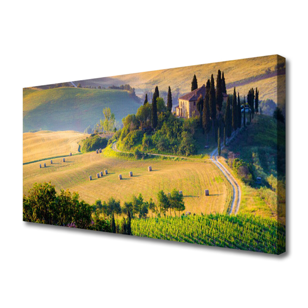 Photo sur toile Arbres champ paysage vert brun