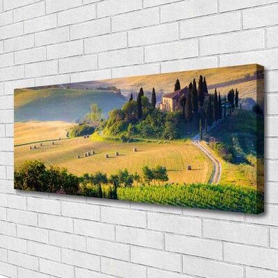 Photo sur toile Arbres champ paysage vert brun