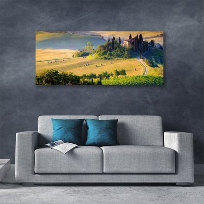 Photo sur toile Arbres champ paysage vert brun