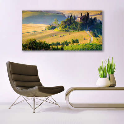 Photo sur toile Arbres champ paysage vert brun