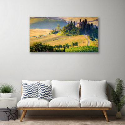 Photo sur toile Arbres champ paysage vert brun