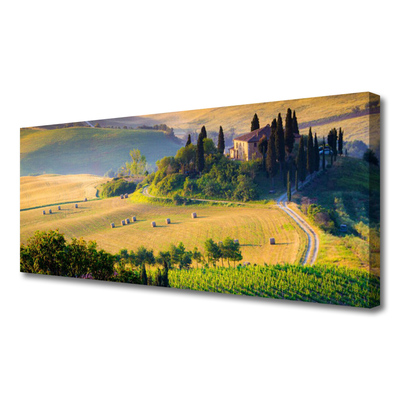 Photo sur toile Arbres champ paysage vert brun