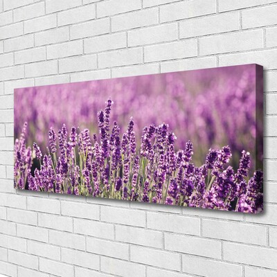 Photo sur toile Fleurs floral rose