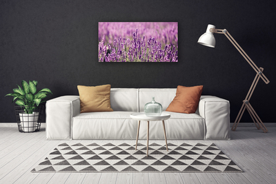 Photo sur toile Fleurs floral rose