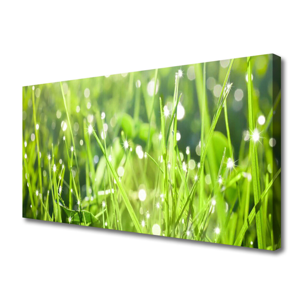 Photo sur toile Herbe nature vert