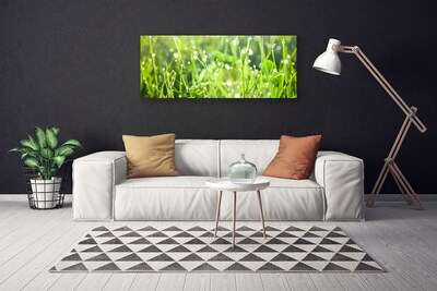 Photo sur toile Herbe nature vert