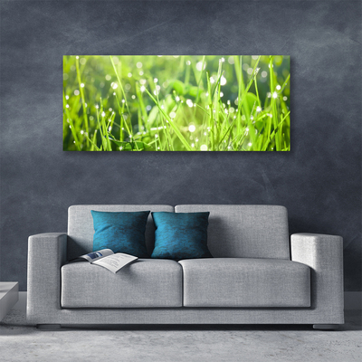 Photo sur toile Herbe nature vert