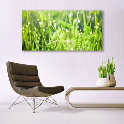 Photo sur toile Herbe nature vert