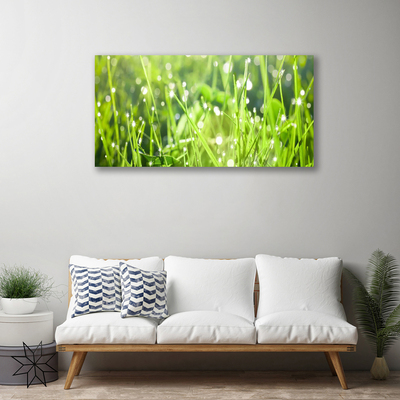 Photo sur toile Herbe nature vert