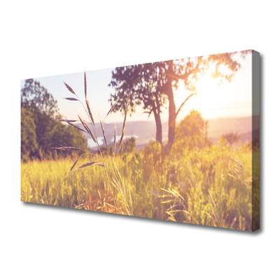 Photo sur toile Prairie herbe arbre nature vert brun